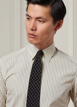 Chemise En Popeline Milleraies -Promos Chemises Décontractées Boutique s7 1485880 alternate4