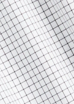 Chemise Tattersall -Promos Chemises Décontractées Boutique s7 1495134 alternate20